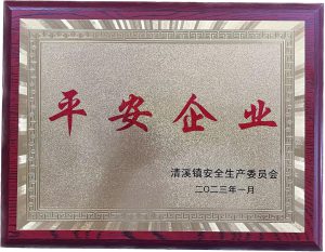 東莞市・清渓鎮から安全生産賞を頂きました。
